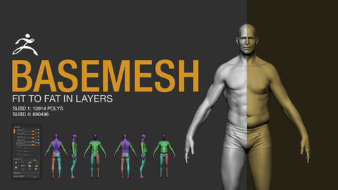 Basemesh - Fit to Fat