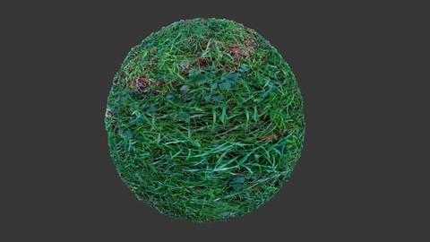 SEAMLESS GRASS GROUND TEXTURE