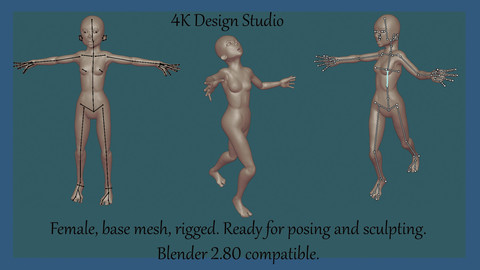 Female body base mesh, Rigged.