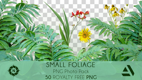 PNG Photo Pack: Small Foliage