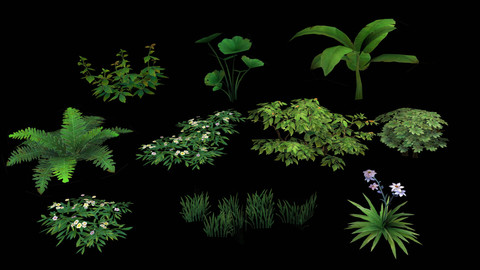 10 Lowpoly Plants pack