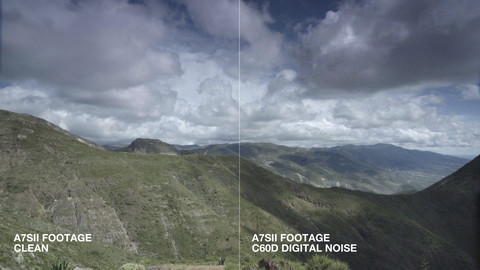 Canon 60D Digital Noise Pack - by Blauw Films