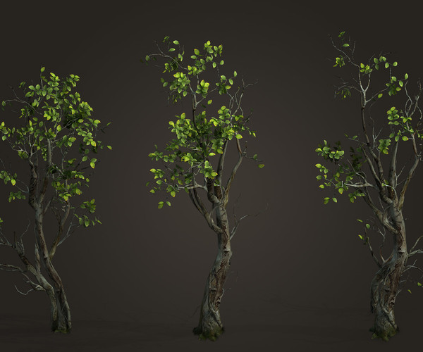 ArtStation - TREES | Resources