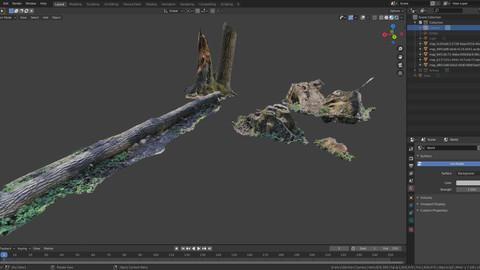Tree stumps - hi-res photoscanned models
