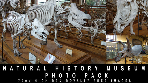 Museum of Natural History Photo Pack