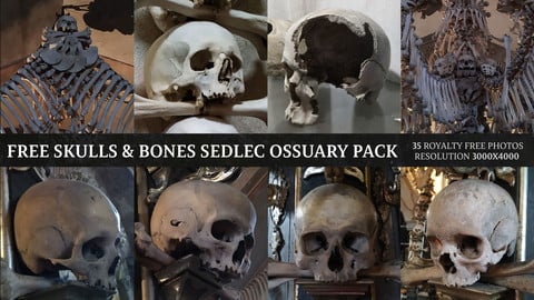 Skulls & Bones - Sedlec Ossuary Free  Pack