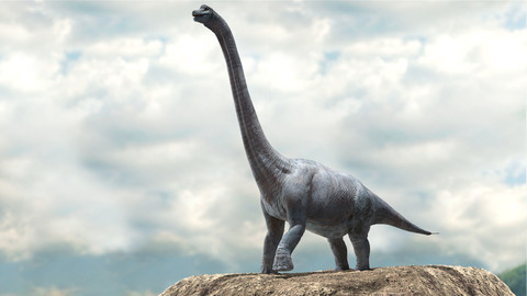 Brachiosaurus (Rigged)