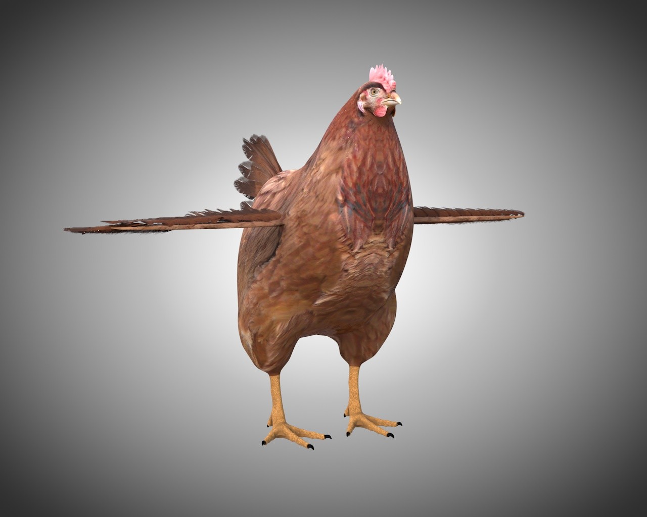 ArtStation Chicken Hen Bird Rigged Low Poly PBR Textures Resources