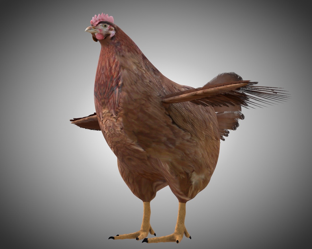 ArtStation Chicken Hen Bird Rigged Low Poly PBR Textures Resources