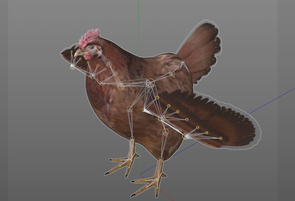 ArtStation Chicken Hen Bird Rigged Low Poly PBR Textures Resources