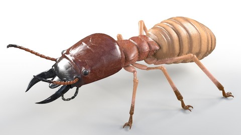 Termite Insect Rigged PBR