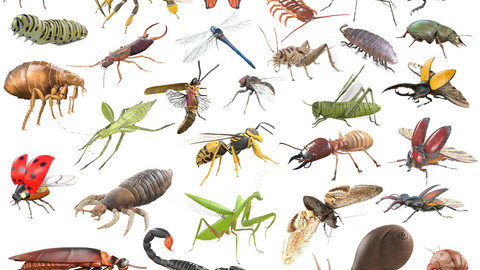 1,309 imágenes, fotos de stock, objetos en 3D y vectores sobre Bug  listening
