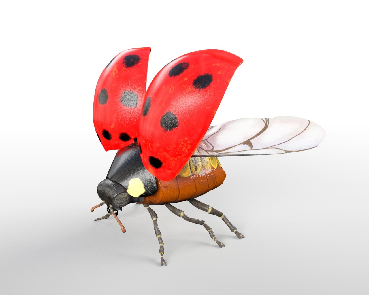1,309 imágenes, fotos de stock, objetos en 3D y vectores sobre Bug  listening