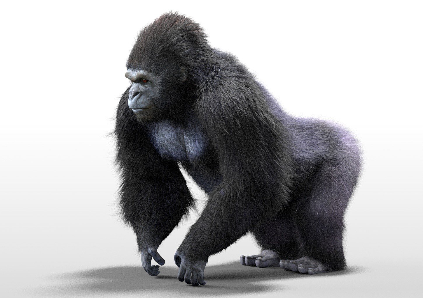 Gorilla Hair Fur Rigged