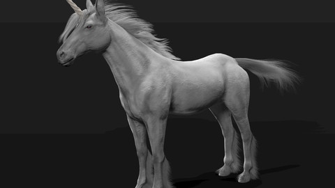 Unicorn Hair Fur Rigged Animal
