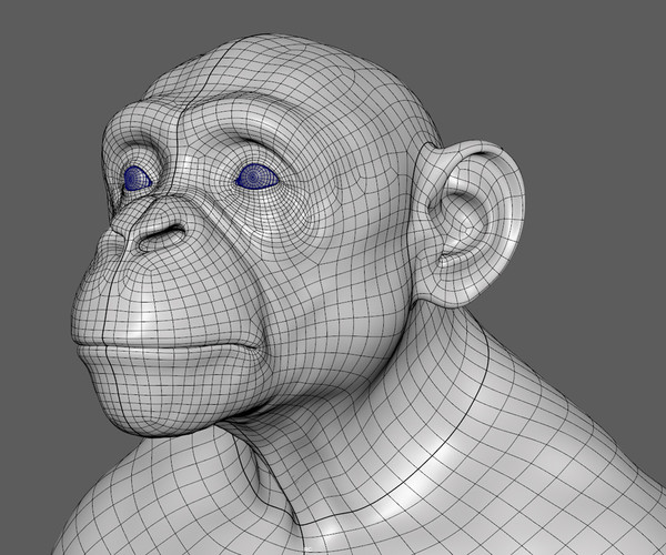 ArtStation - MONKEY - Chimpanzee – sculpt/retopology/skeleton/muscles ...