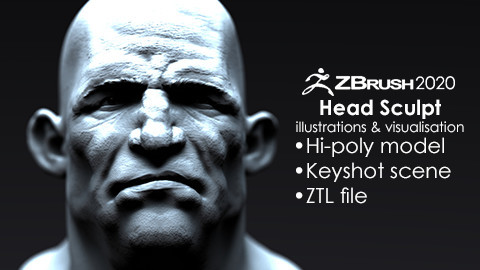 Stylized Male Head Bust #2