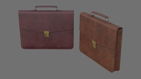 Briefcase 1C