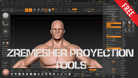 ZRemesher Projection Tool