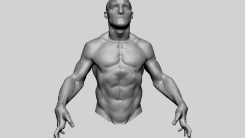 Upper Body Sculpting