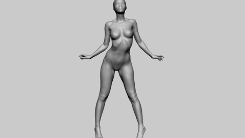 Dynamic Female Figure