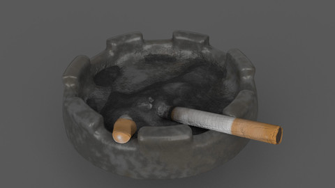 Used Ashtray