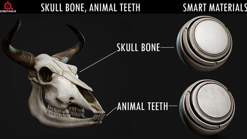 Skull Bone, Animal Teeth| SMART MATERIALS