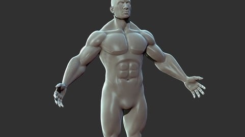 Superhero Anatomy Base Sculpture High Poly 3D Model