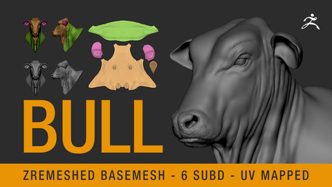 Bull Head - ZBRUSH and OBJ