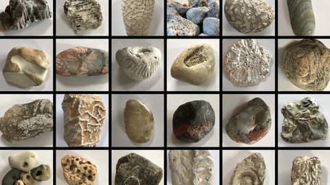 Rocks: Great Lakes- Lake Michigan Pack 2