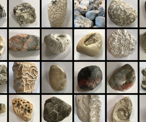 ArtStation - Rocks: Great Lakes- Lake Michigan Pack 2 | Resources