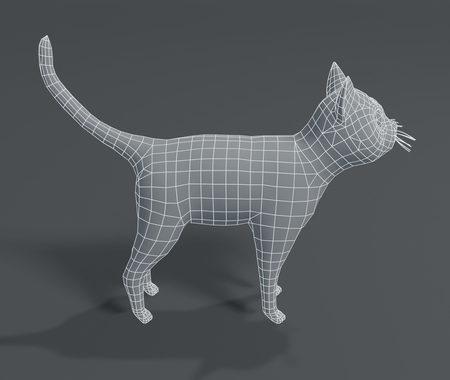 Artstation Cartoon Cat Base Mesh 3d Model Game Assets 1037