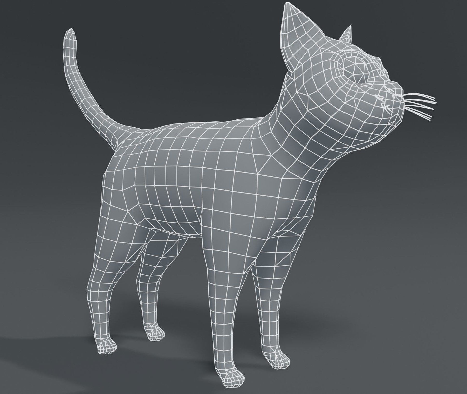 ArtStation - Cartoon Cat Base Mesh 3D Model | Game Assets