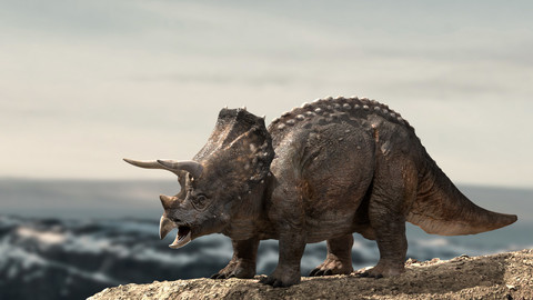 Triceratops Rigged 3D model