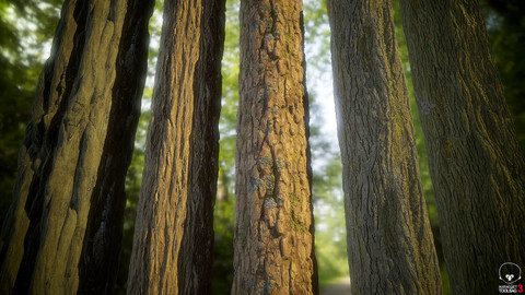 Tree Bark Material Generator - Substance Designer