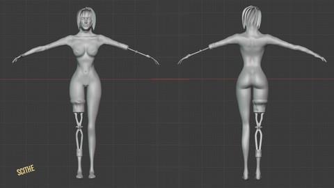 Female Body for Steampunk Games