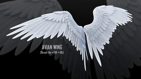 ZBrush Avian Wing + FBX + OBJ