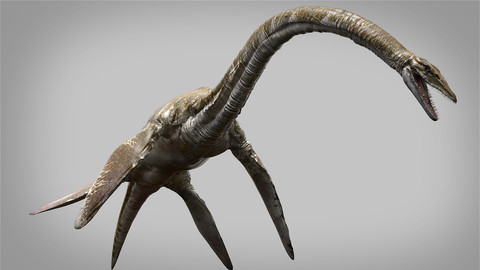 Elasmosaurus (Rigged)