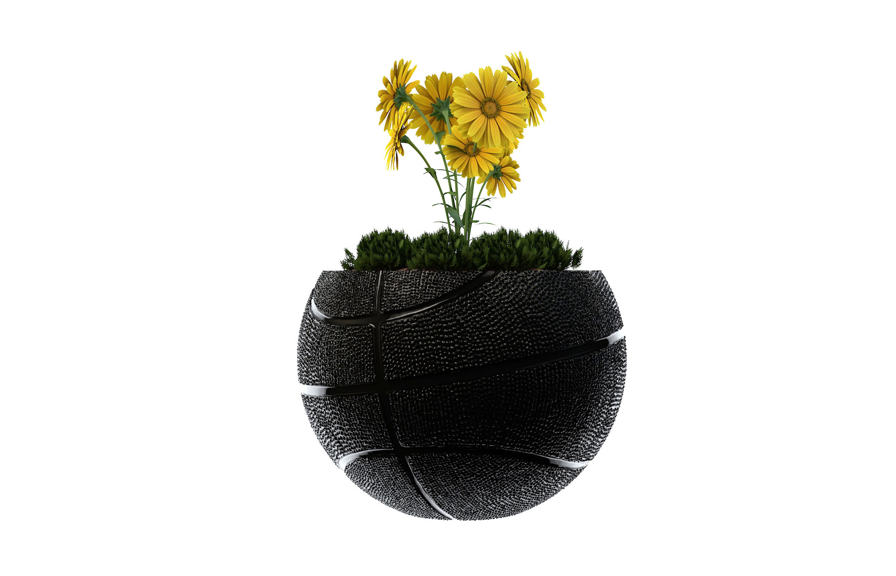 ArtStation BasketBall Vase Plant Resources