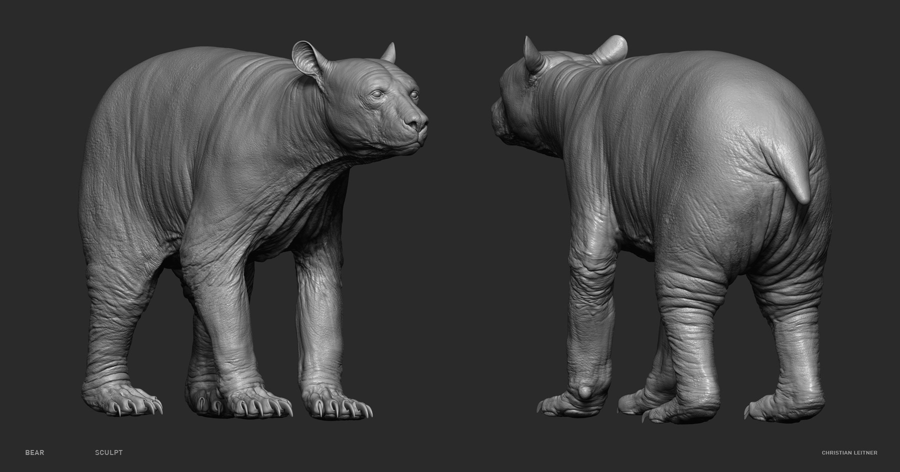 ArtStation - Bear Sculpt in Blender