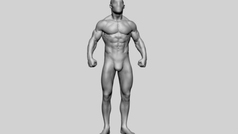 Bodybuilder Anatomy