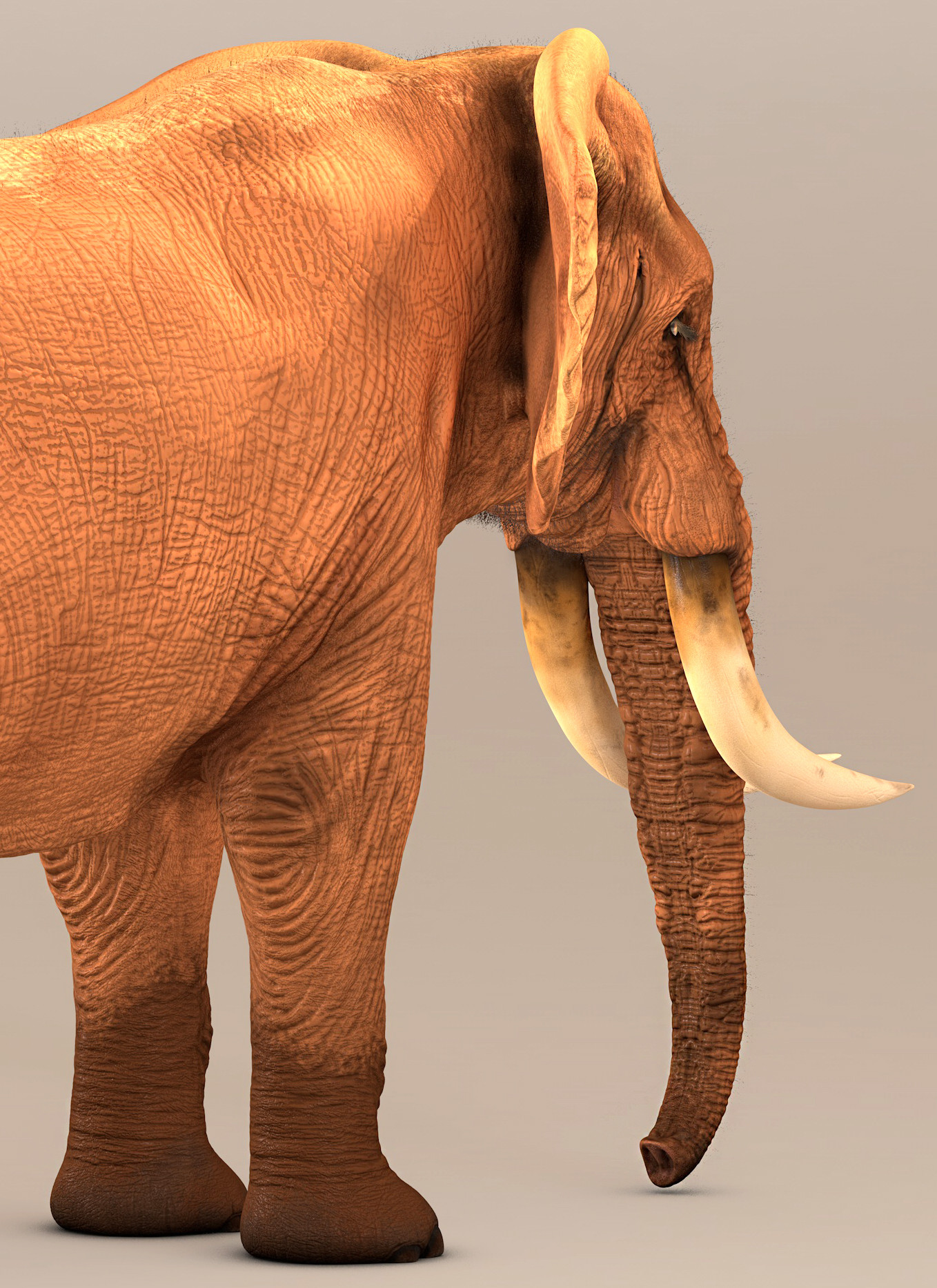 Artstation Elephant 3d Printing Resources - vrogue.co