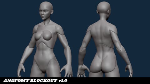 Valorant - Anatomy Blockout (Female)