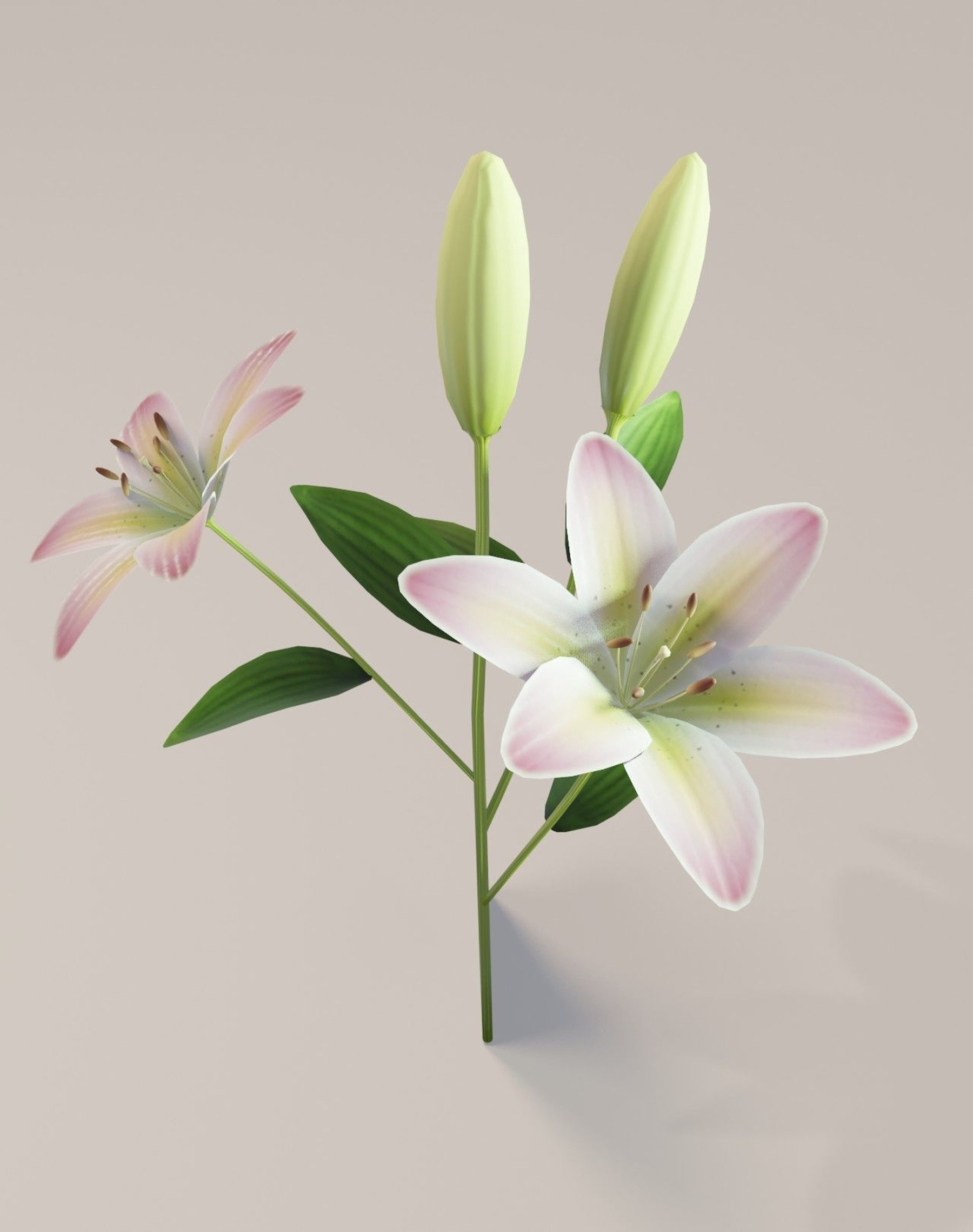 345 Pixel Lily Images, Stock Photos, 3D objects, & Vectors