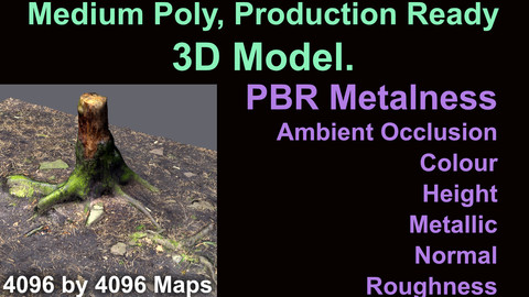 Tree Stump - Medium Poly - Production Ready - 3D Model - PBR Metalness Maps.
