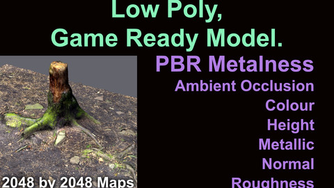 Tree Stump, Low Poly, Game Ready 3D Model.