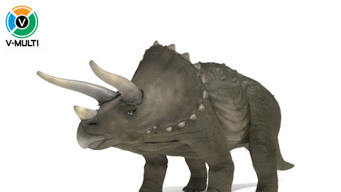 3D Model: Triceratops