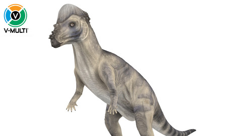 3D Model: Pachycephalosaurus