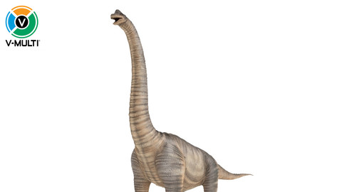 3D Model: Brachiosaurus