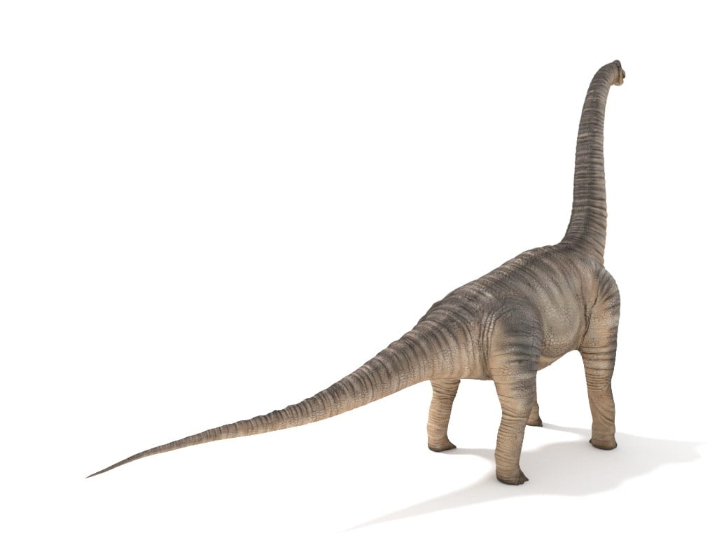 File:Long neck dino Long neck Brachiosaurus animation cartoon video game  sprite 3D model.png - Wikimedia Commons